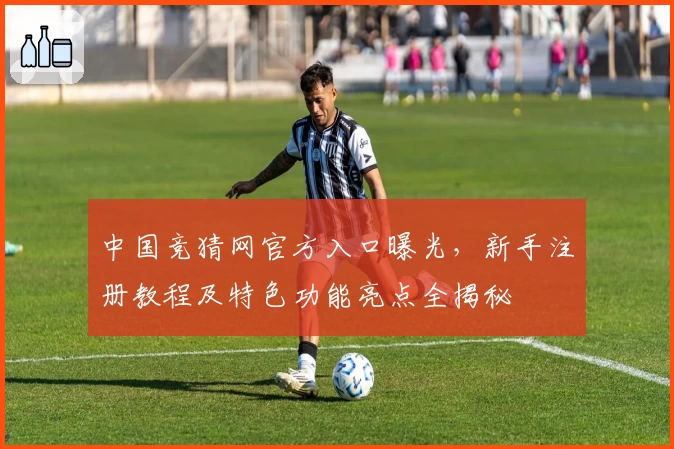 中国竞猜网官方入口曝光，新手注册教程及特色功能亮点全揭秘