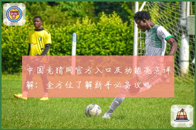 中国竞猜网官方入口及功能亮点详解：全方位了解新手必备攻略