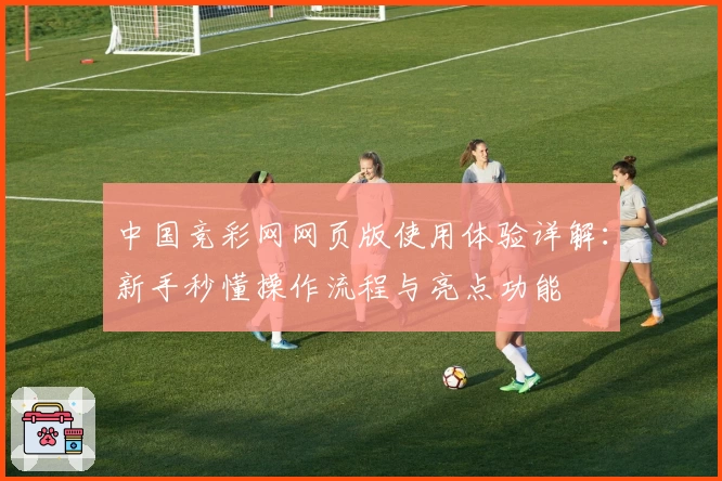 中国竞彩网网页版使用体验详解：新手秒懂操作流程与亮点功能