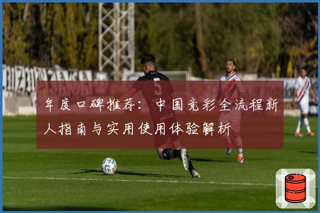 年度口碑推荐：中国竞彩全流程新人指南与实用使用体验解析
